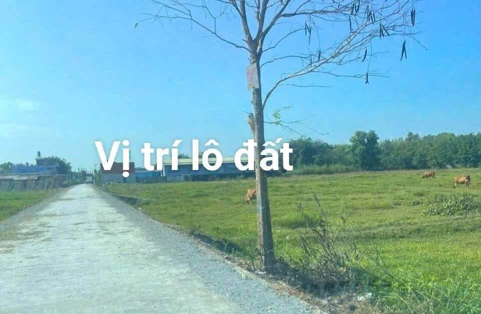 HÀNG MỚI NÓNG HỔI - SIÊU PHẨM ĐẤT LỐC 06 LÔ BÌNH MỸ (TRUNG AN CŨ), CỦ CHI 4