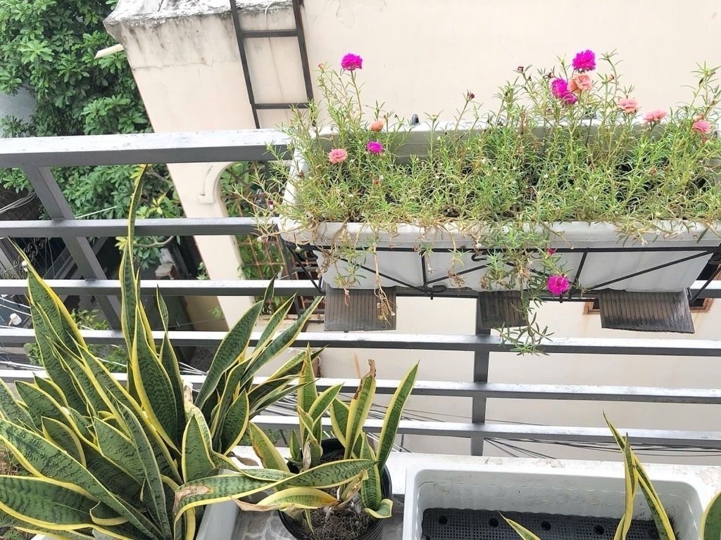 BÁN NHÀ NGANG LỚN 5.9M- CÁCH VÀI BƯỚC CHÂN RA MT XÓM CHIẾU- LƯU THÔNG TÔN THẤT THUYẾT- NGUYỄN TẤT 5