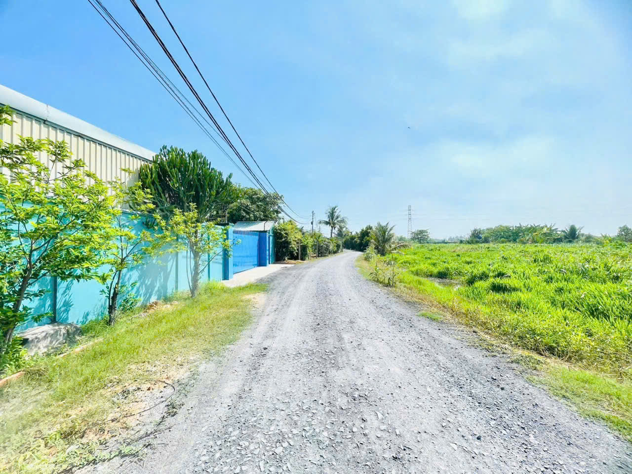 Bán nhà xưởng hẻm Võ Văn Bích , Bình Mỹ tdt 1076m2 full thổ ( dtxd 500m2 ) giá 17,5 tỷ 3