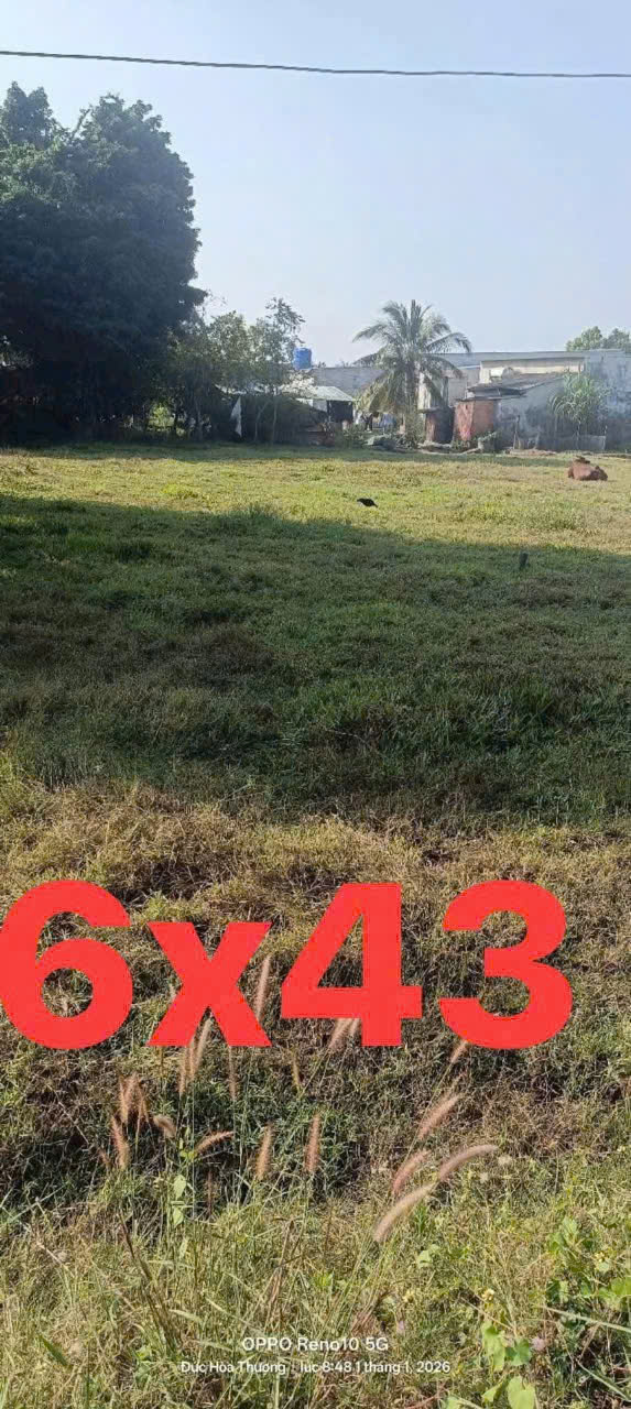Bán đất thổ cư hẻm beton 6m xã Đức Hòa Thượng dt 258m2 giá 1,05 tỷ 3