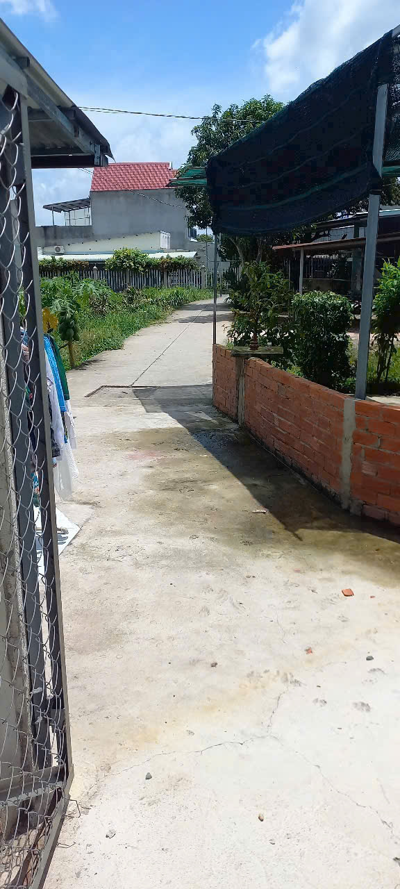 Bán đất thổ cư hẻm tỉnh lộ 823, thị trấn Hậu Nghĩa dt 300m2 giá 1,6 tỷ 2