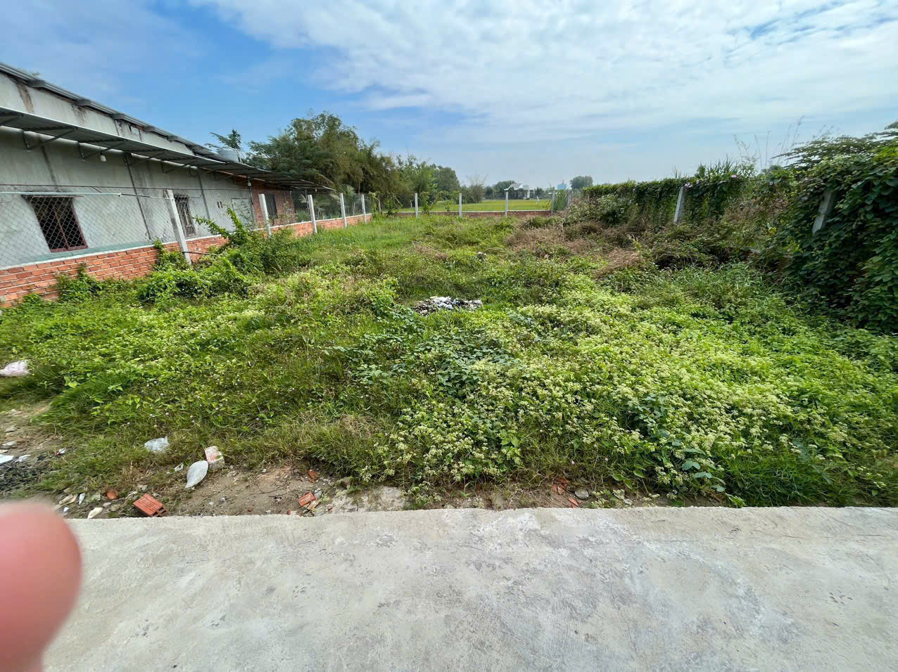 Bán đất thổ cư hẻm tỉnh lộ 823, thị trấn Hậu Nghĩa dt 300m2 giá 1,6 tỷ 3