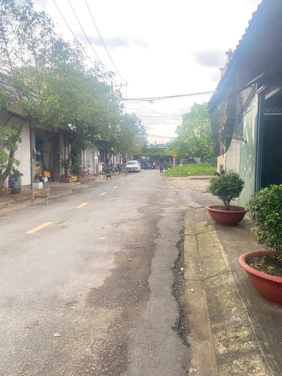 VIP – KHO XƯỞNG 552M² XUÂN THỚI ĐÔNG - GIẢM SÂU HIẾM CÓ 3