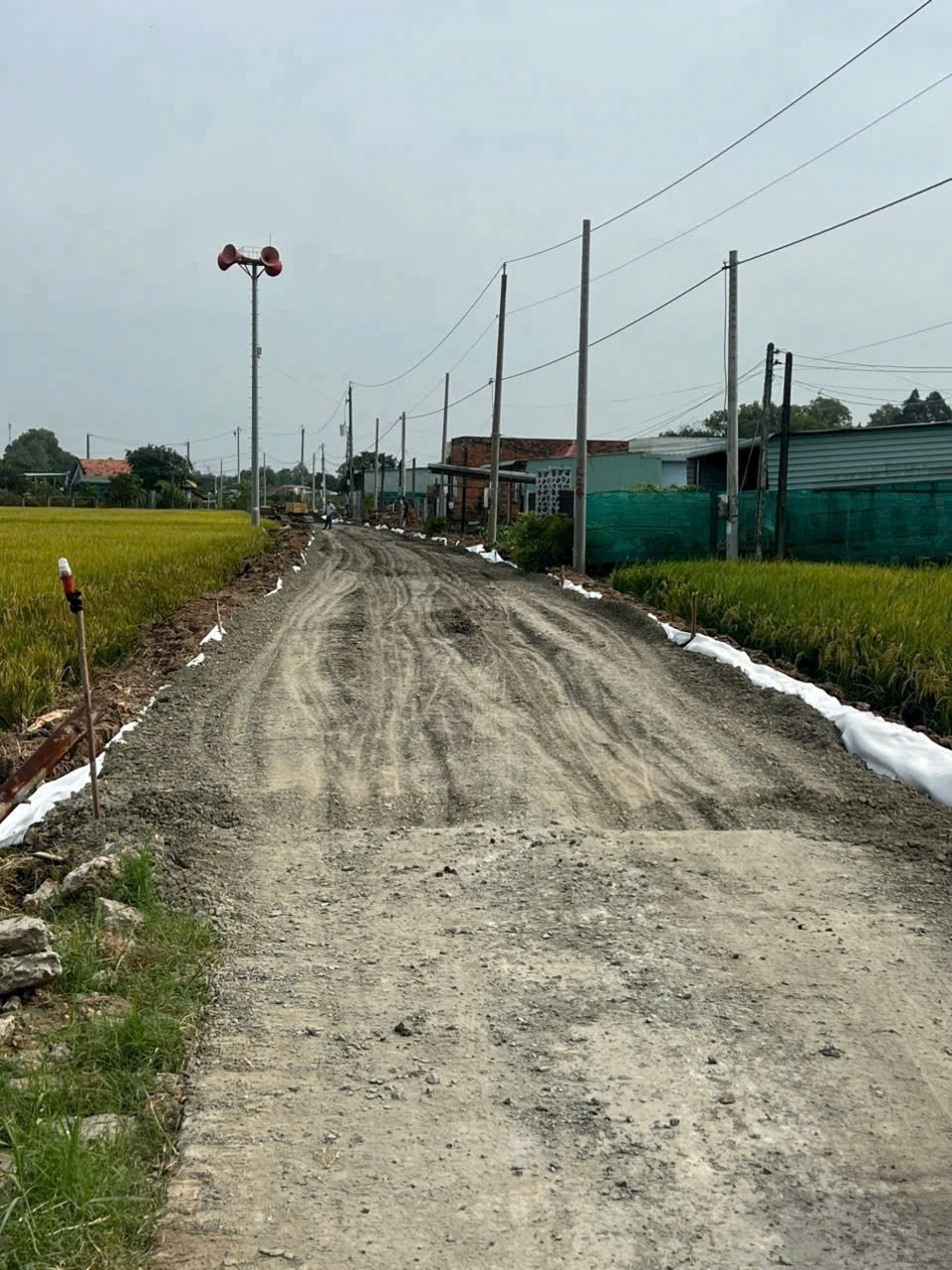 Bán đất thổ cư mt đường Nguyễn Thị Tầm , xã Bình Lãng , Tân Trụ dt 110m2 giá giảm còn 380tr 2