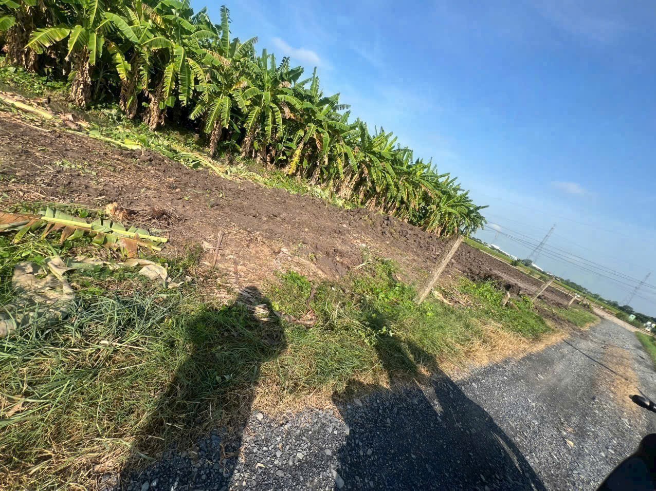 Bán đất thổ cư mt đường Nguyễn Thị Tầm , xã Bình Lãng , Tân Trụ dt 110m2 giá giảm còn 380tr 3