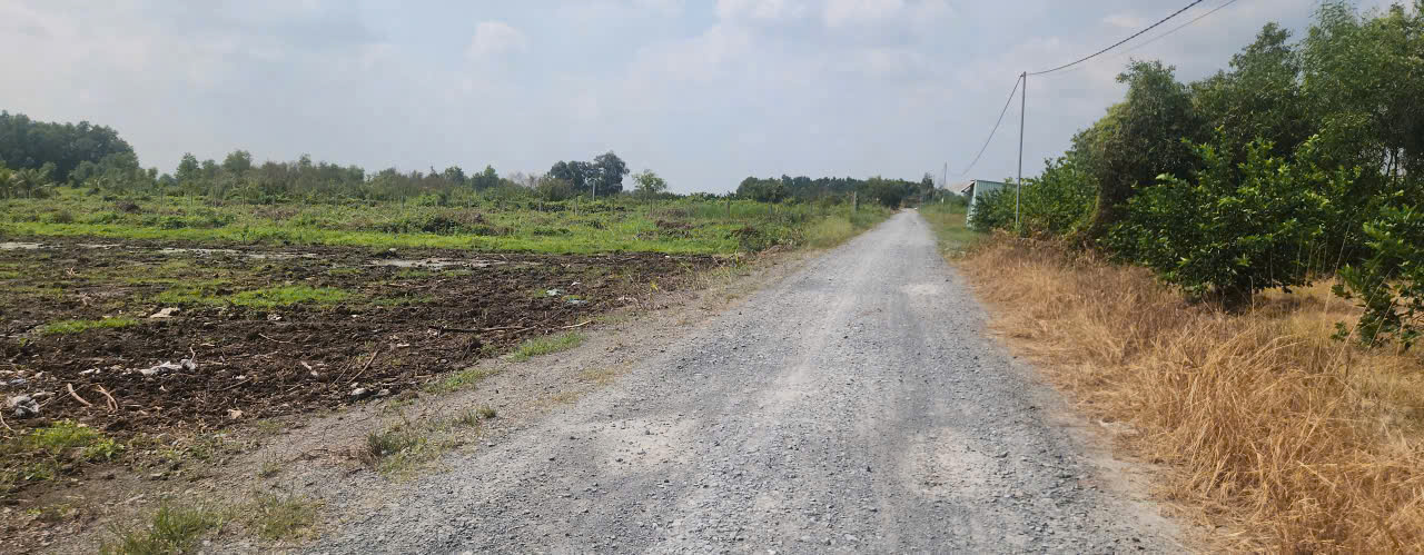 Bán đất vườn mt đường Năm Liệt , xã Thạnh Hòa, Bến Lức dt 1000m2 giá 1,4 tỷ 5