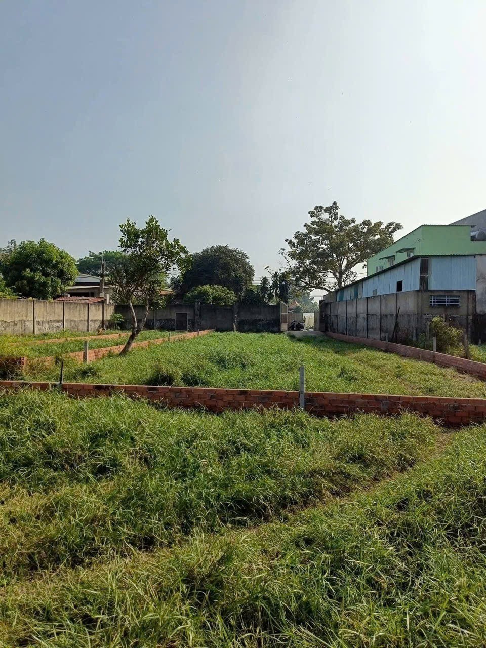 ĐẤT (9.8x36) MẶT TIỀN TÂN HIỆP 30 – HÓC MÔN FULL THỔ CƯ HIẾM 3