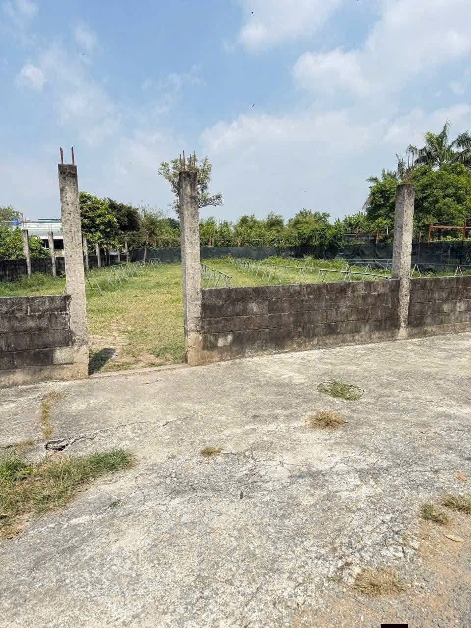 SIÊU PHẨM ĐẤT (42X55) MẶT TIỀN TÂN HIỆP 39 - 40 – HÓC MÔN GIÁ RẺ 4