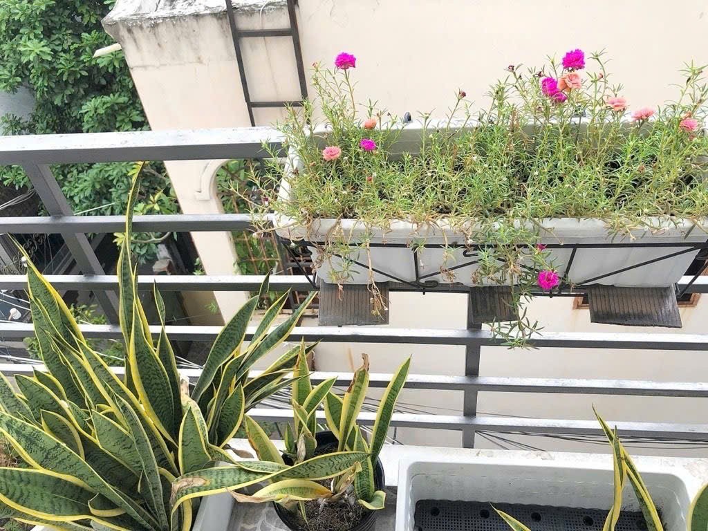 BÁN NHÀ CĂN SỐ 1 ĐƯỜNG XÓM CHIẾU,Cách hẻm xe hơi 10 bước chân, sát mặt tiền 4