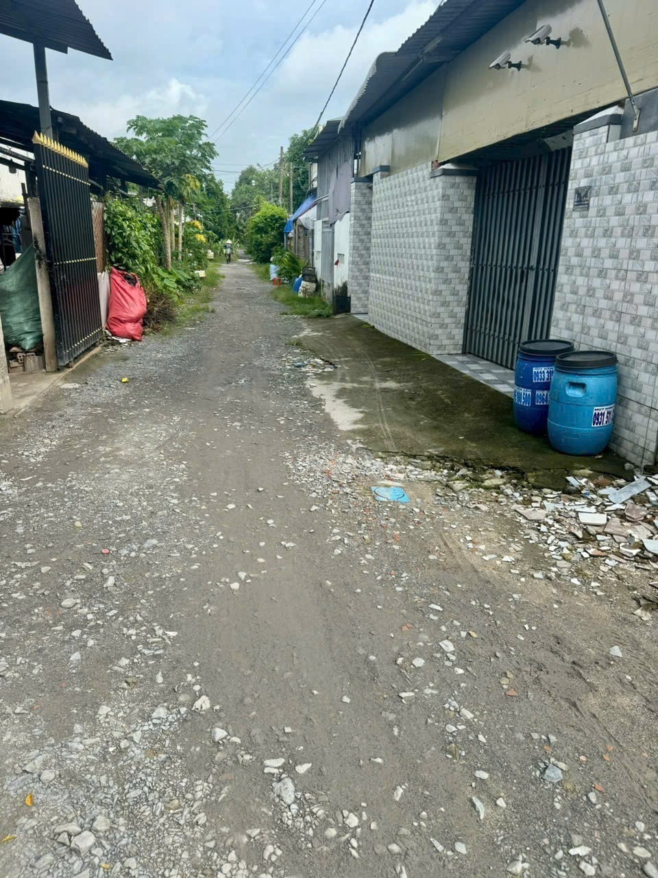 Bán đất thổ cư 1/ đường 110 , xã Tân Thạnh Đông dt 103m2 giá 1,95 tỷ 3