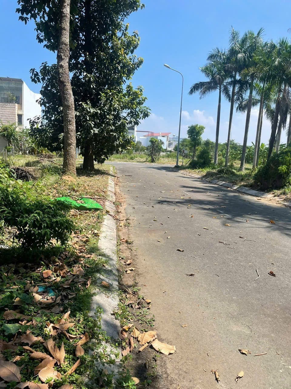 Cần bán Đất Phường Long Phước, Quận 9, Diện tích 210m², Giá 45 Triệu/m² 3