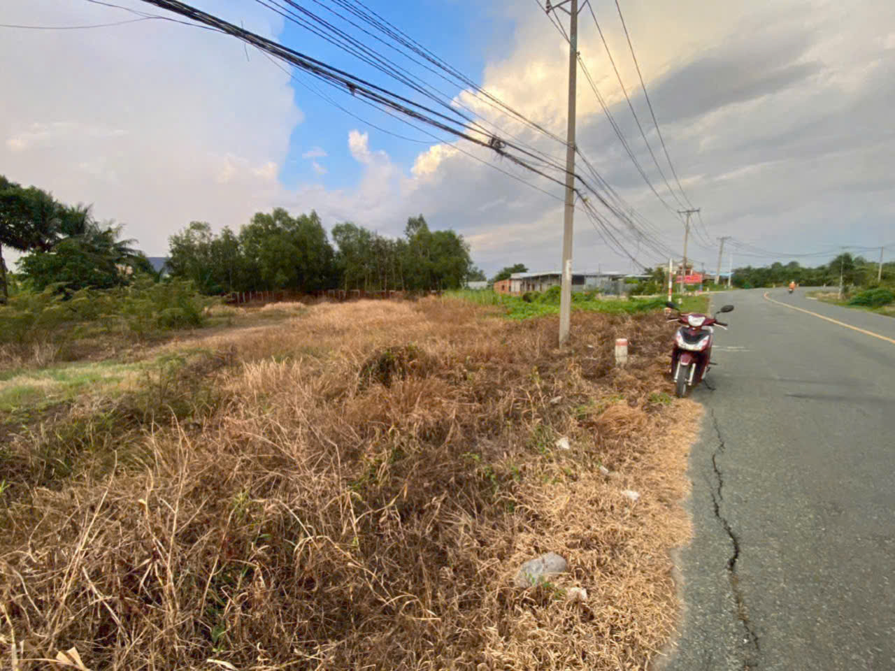 Bán đất mặt tiền ĐT 816 , xã Thạnh Hòa, Bến Lức tdt 910m2 ( có 200m2 thổ ) giá 2,8 tỷ