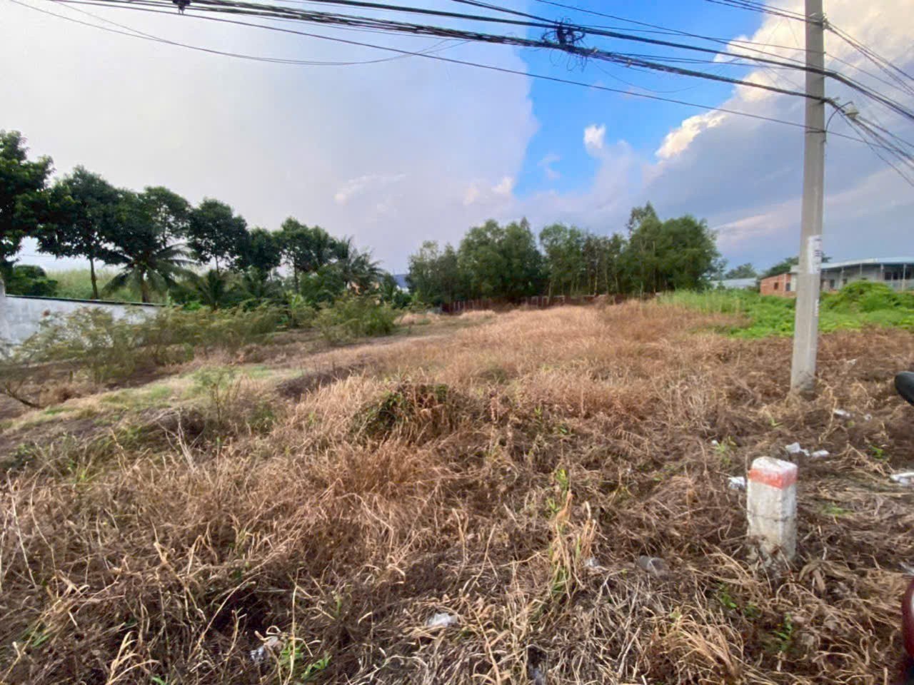 Bán đất mặt tiền ĐT 816 , xã Thạnh Hòa, Bến Lức tdt 910m2 ( có 200m2 thổ ) giá 2,8 tỷ 2