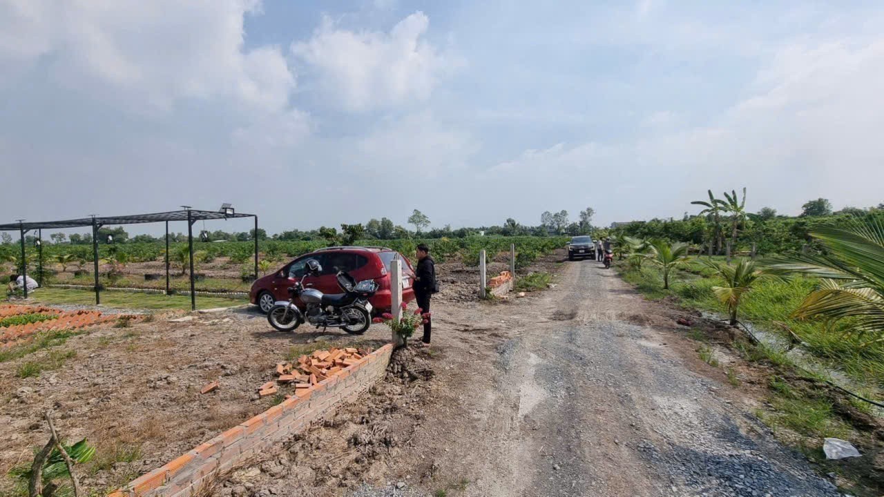 Bán đất vườn xã Tân Thành , Thủ Thừa dt 2000m2 giá  1,12 tỷ 2