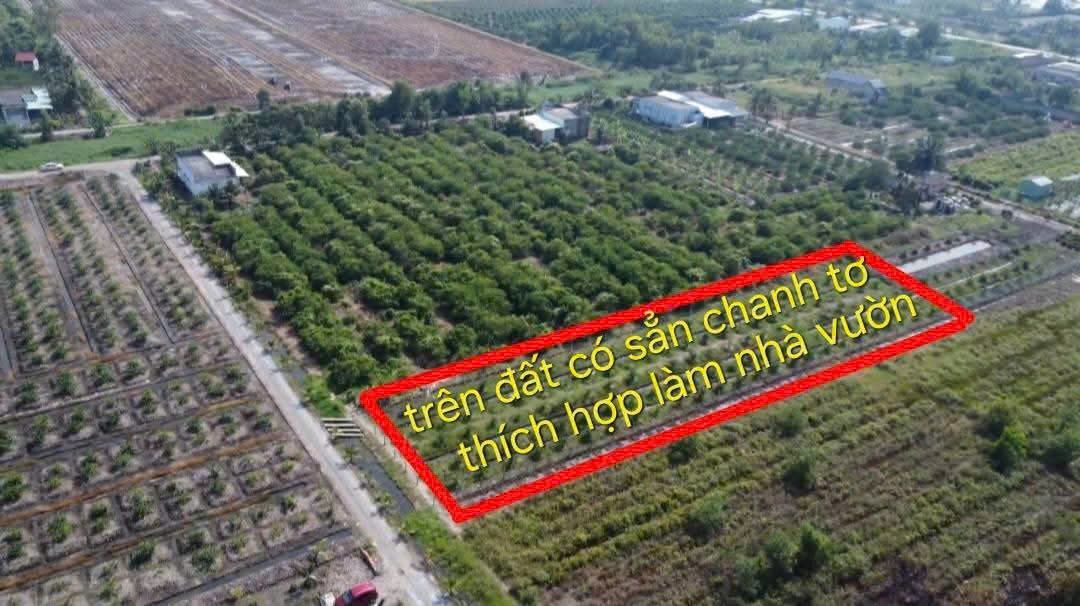 Bán đất vườn xã Tân Thành , Thủ Thừa dt 2000m2 giá  1,12 tỷ 3