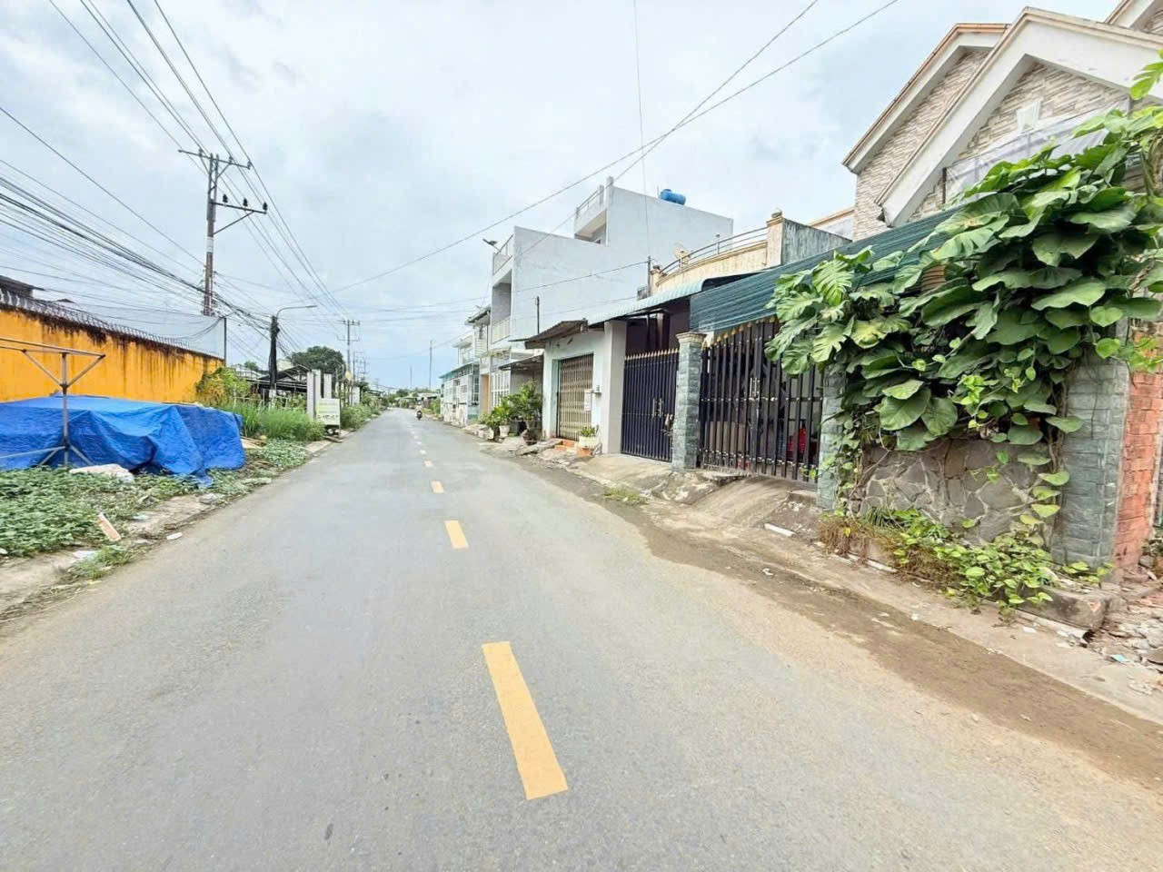 Bán đất mặt tiền đường Long Bình , xã Long Hiệp Bến Lức tdt 800m2 (131,6m2 thổ ) giá 4,5 tỷ 4