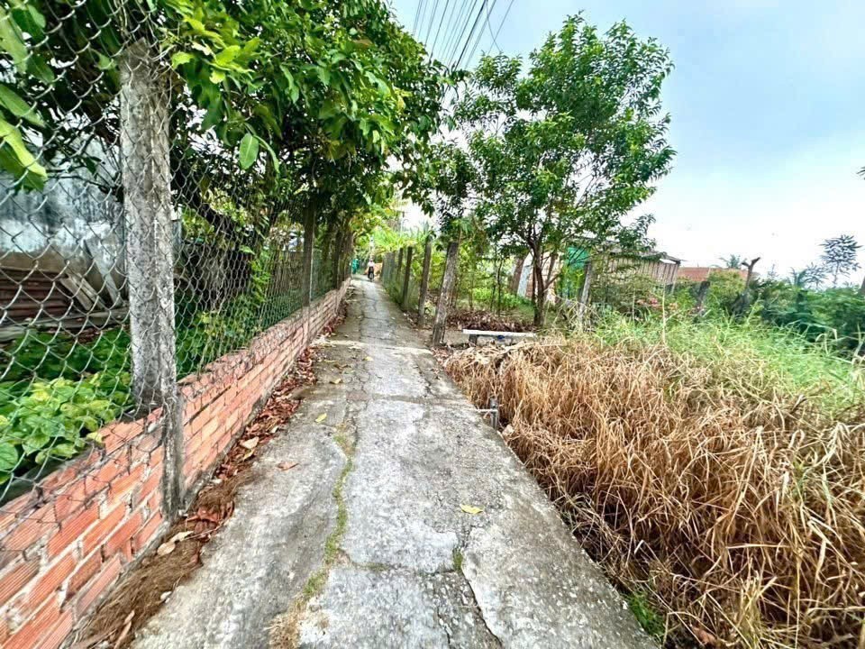 Bán nhà cấp 4 đuờng beton xe ba gác Nhựt Chánh , Bến Lức dt 217m2 full thổ 2pn , 1wc giá 1,19 tỷ 6