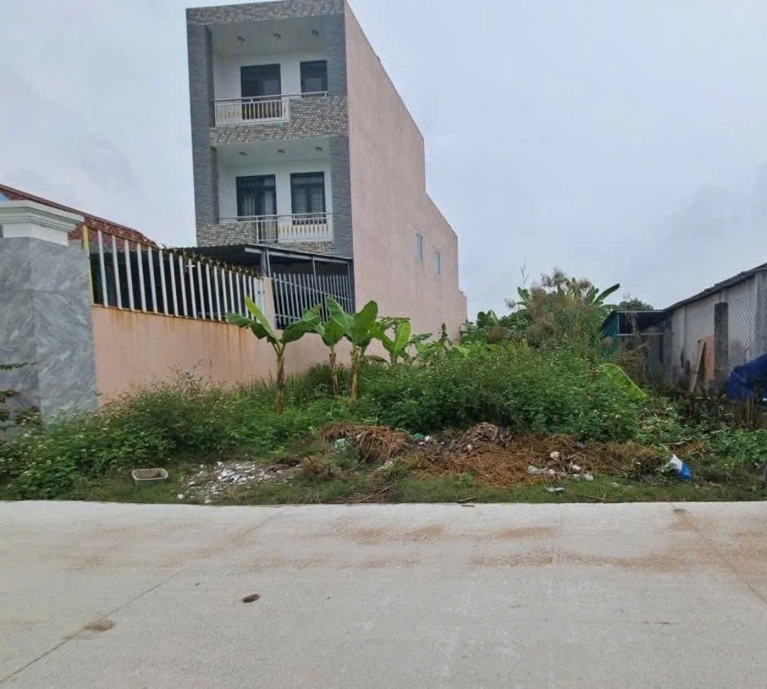 Bán đất thổ cư đường beton 4m xe tải ở xã Thanh Phú, Bến Lức dt 260m2 giá 3,3 tỷ 2