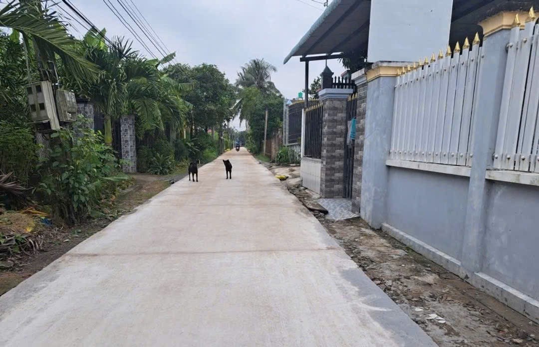 Bán đất thổ cư đường beton 4m xe tải ở xã Thanh Phú, Bến Lức dt 260m2 giá 3,3 tỷ 3