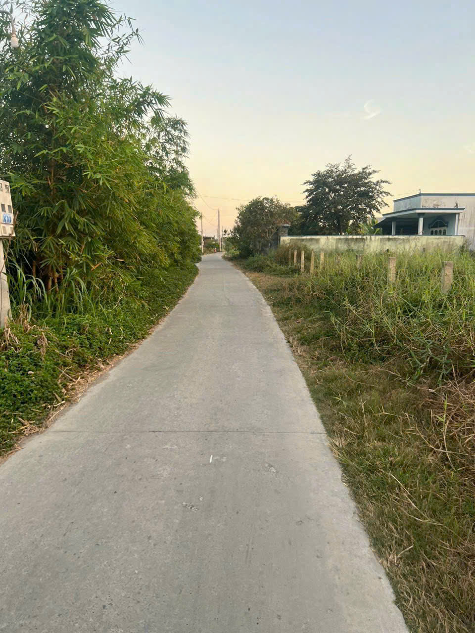 Bán đất mt đường Cây Điệp , Nhựt Chánh  tdt 2000m2 ( 180m2 thổ còn lại đất lúa ) giá 4,8 tỷ