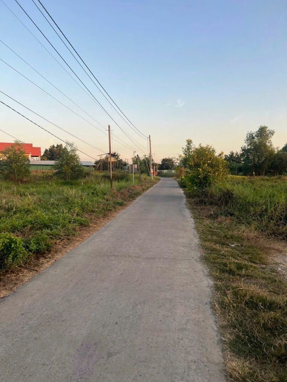 Bán đất mt đường Cây Điệp , Nhựt Chánh  tdt 2000m2 ( 180m2 thổ còn lại đất lúa ) giá 4,8 tỷ 5