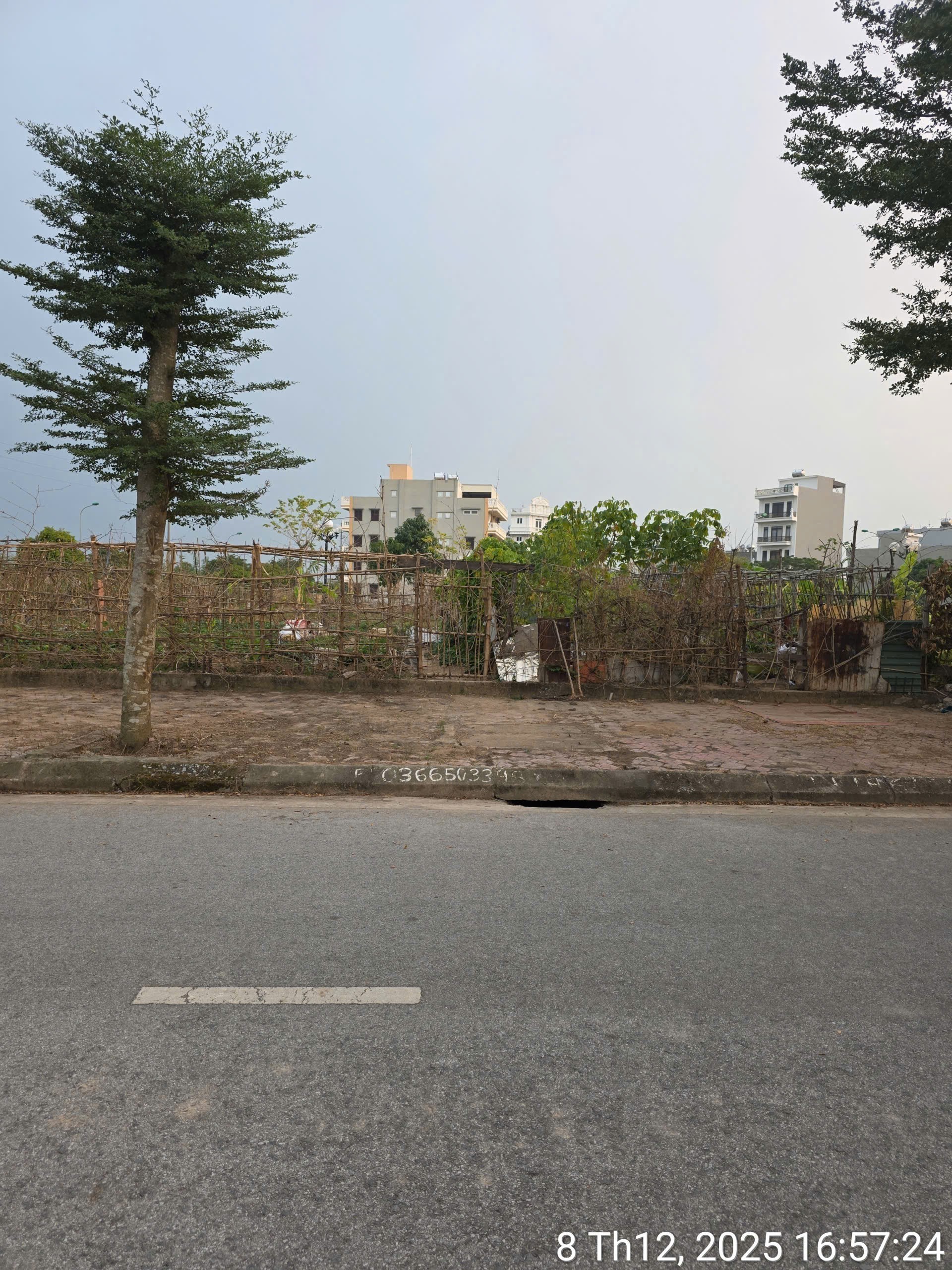 Cần bán Đất Phường Nhị Châu, Hải Dương, Diện tích 60m², Giá 166 Triệu/m² 3