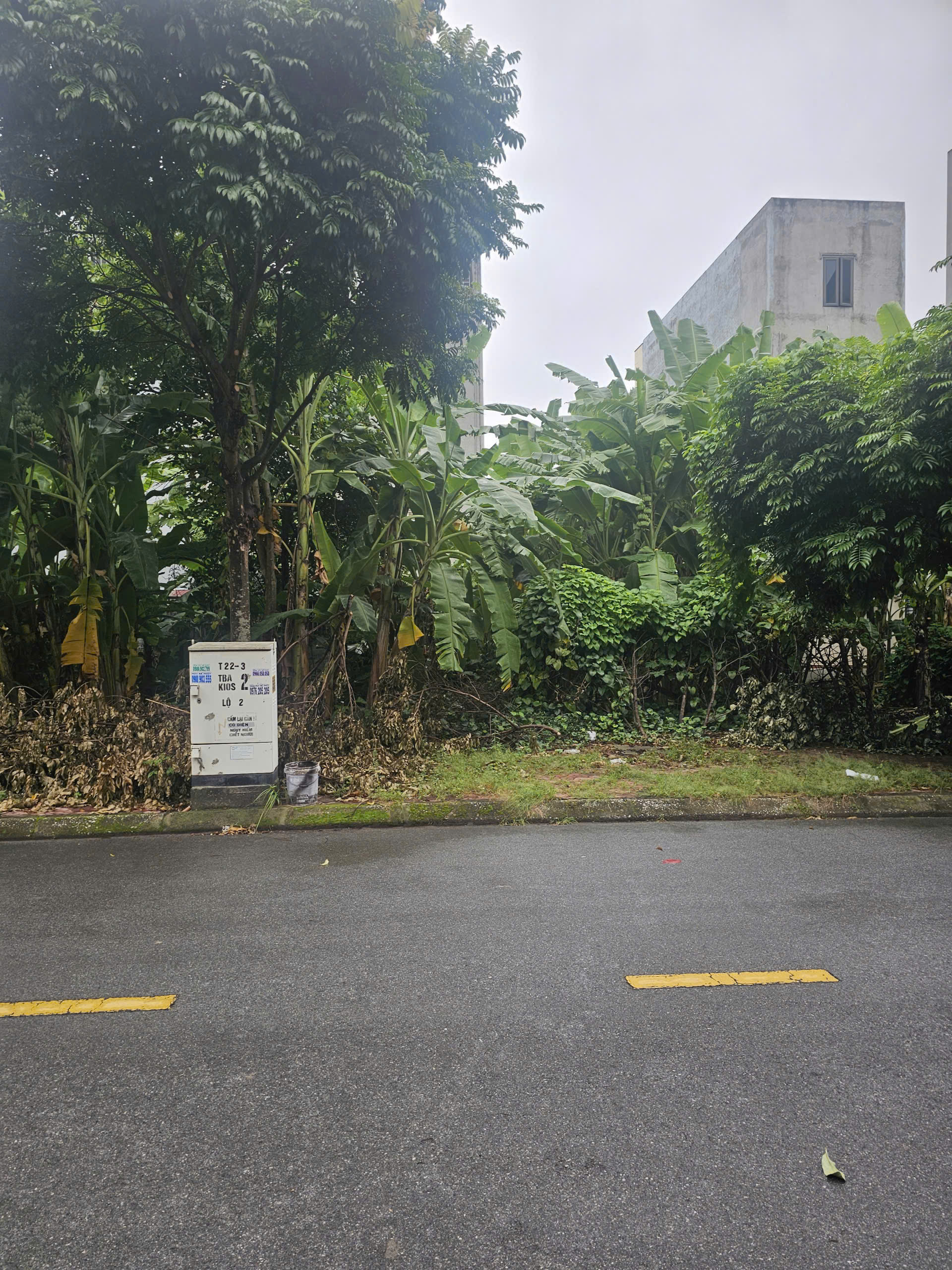 Cần bán Đất Phường Nhị Châu, Hải Dương, Diện tích 90m², Giá 175 Triệu/m²