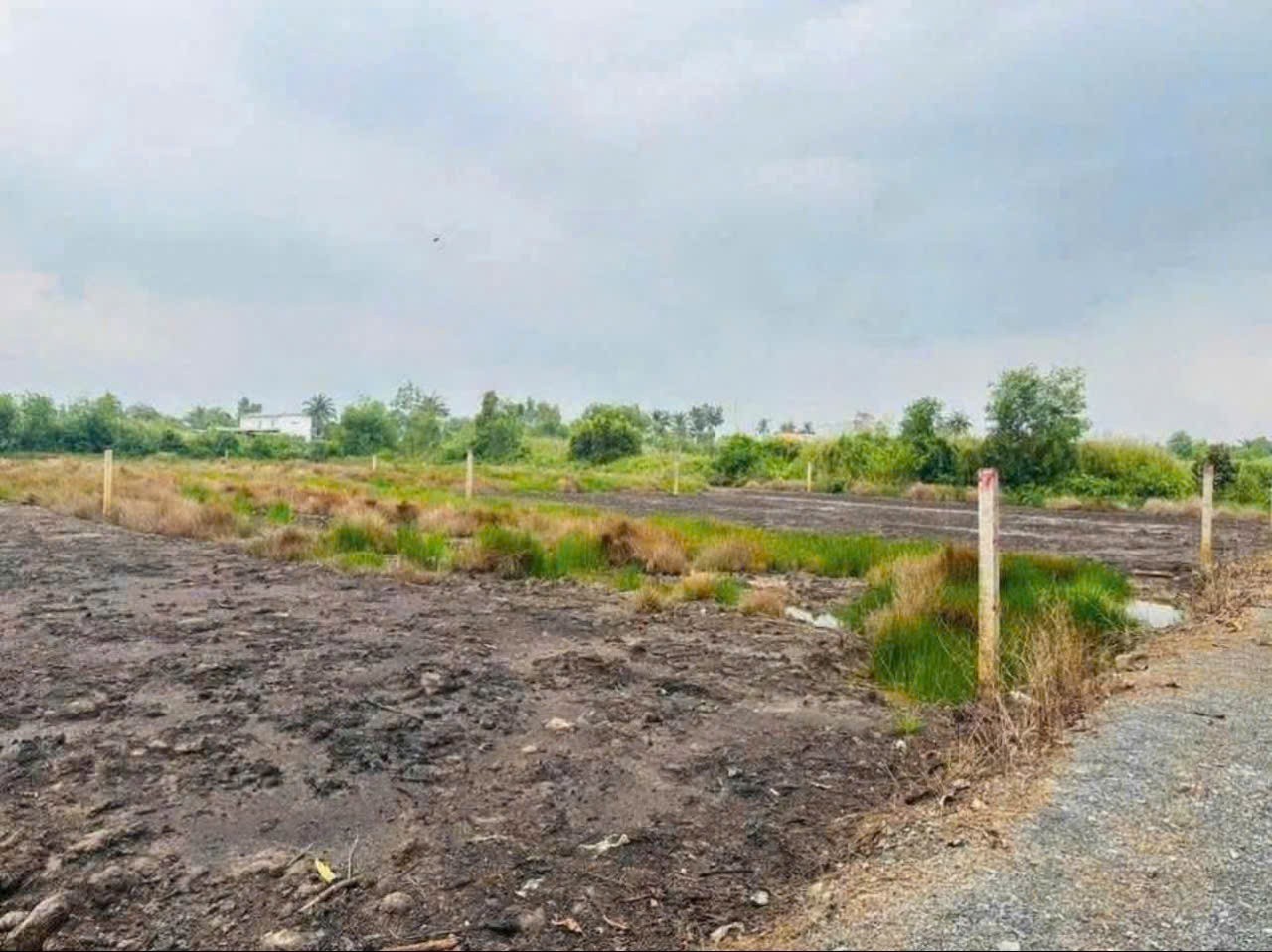 Bán đất vườn view kênh xã Thạnh Hòa, Bến Lức dt 3016m2 giá 3,1 tỷ 4