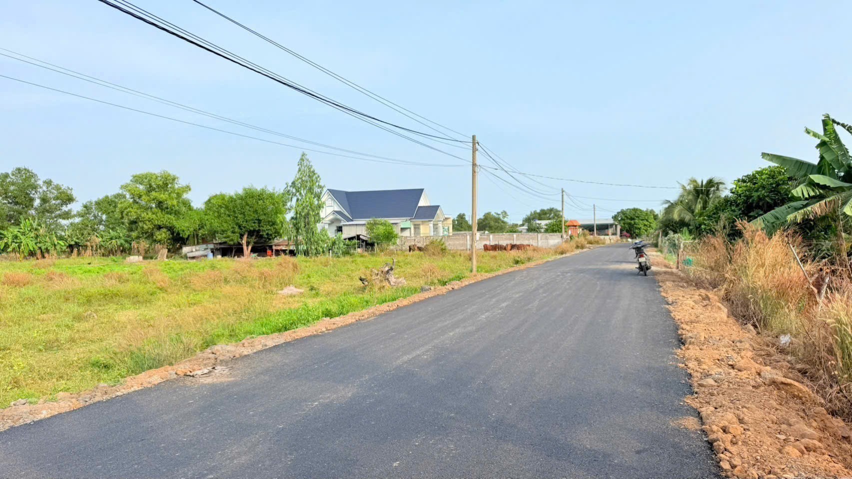 HÀNG HIẾM GIÁ NGỘP – BIỆT THỰ VƯỜN PHƯỚC HẢI – ĐÓN ĐƯỜNG RA BIỂN 2