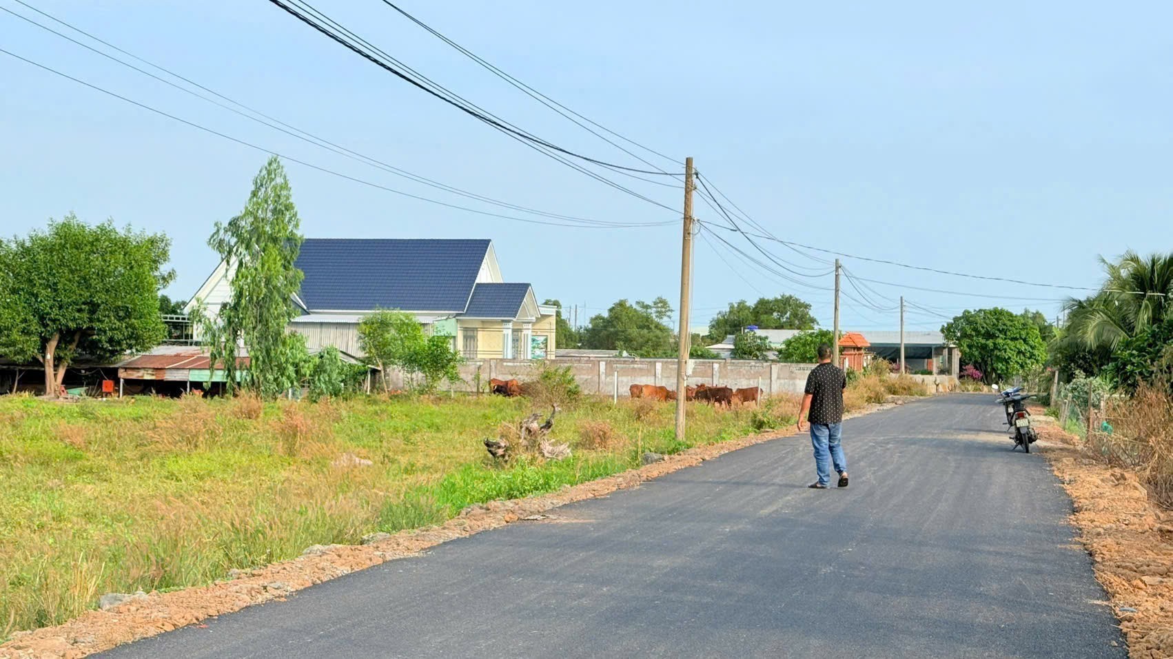 HÀNG HIẾM GIÁ NGỘP – BIỆT THỰ VƯỜN PHƯỚC HẢI – ĐÓN ĐƯỜNG RA BIỂN 4