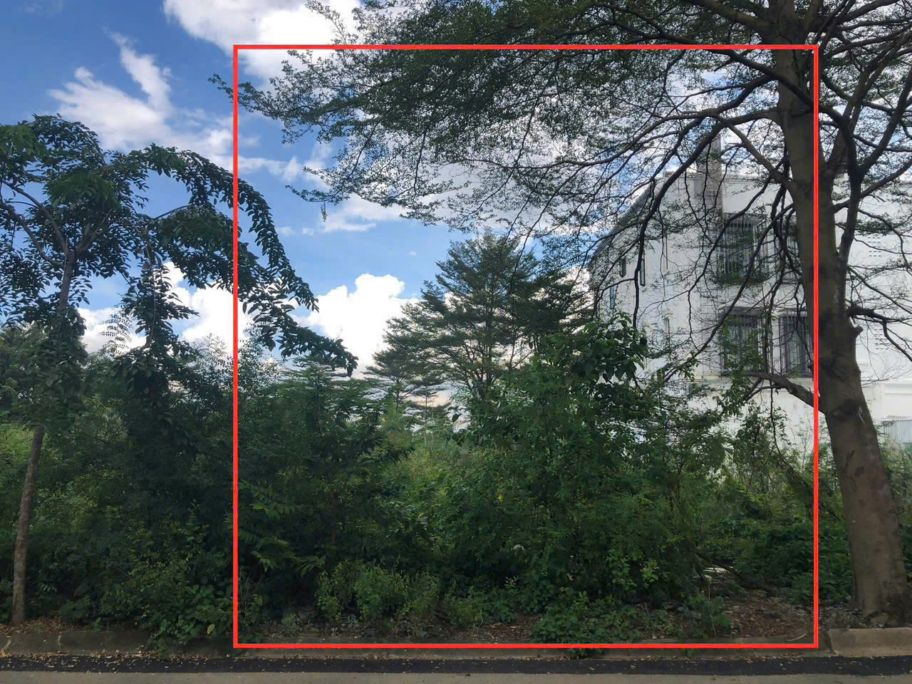 Cần bán Đất Phường Phú Hữu, Quận 9, Diện tích 160m², Giá 11 Tỷ 2