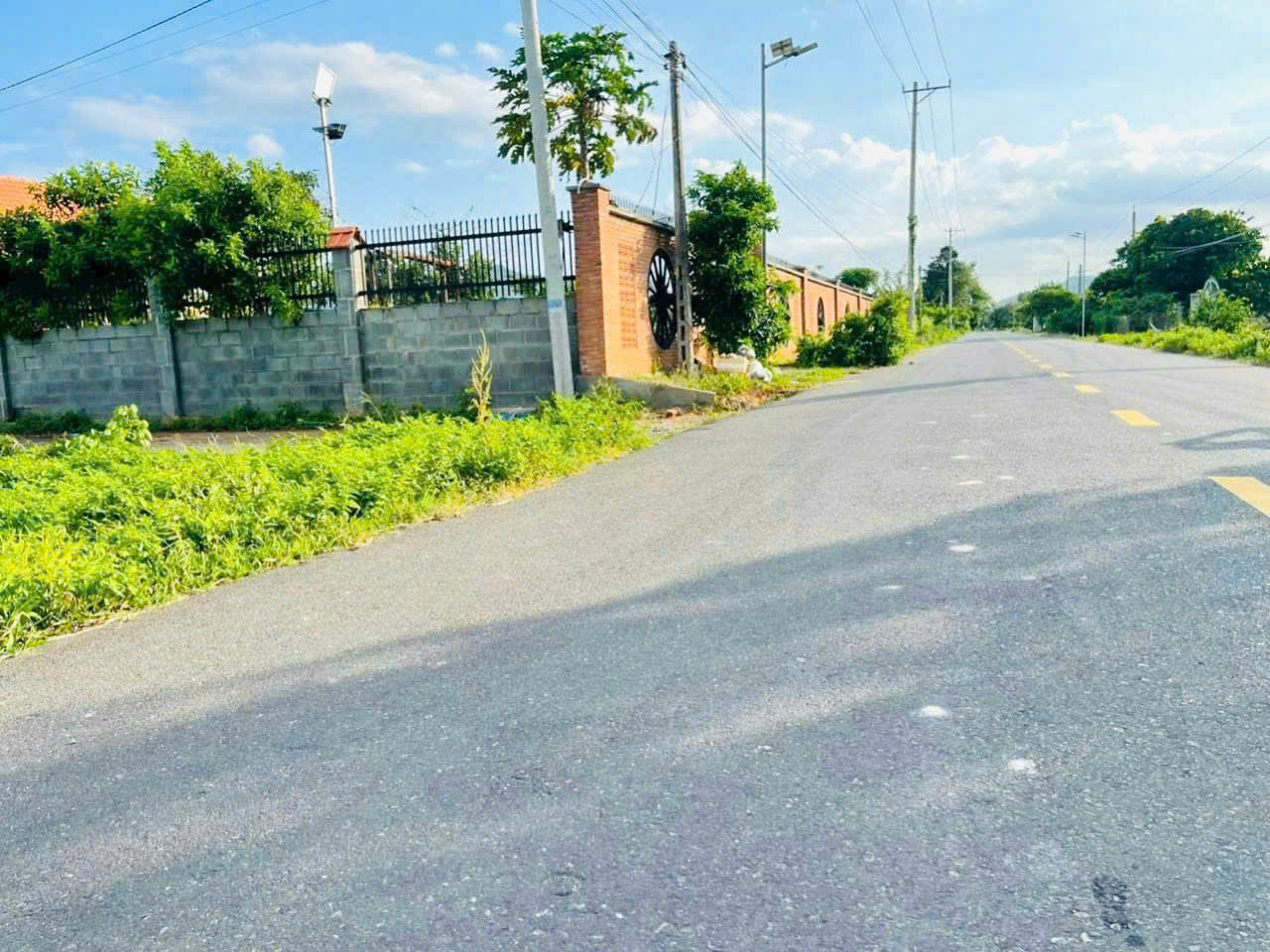 Cần bán Đất đường 55, Thị trấn Phước Hải, Diện tích 113m², Giá Thương lượng 4