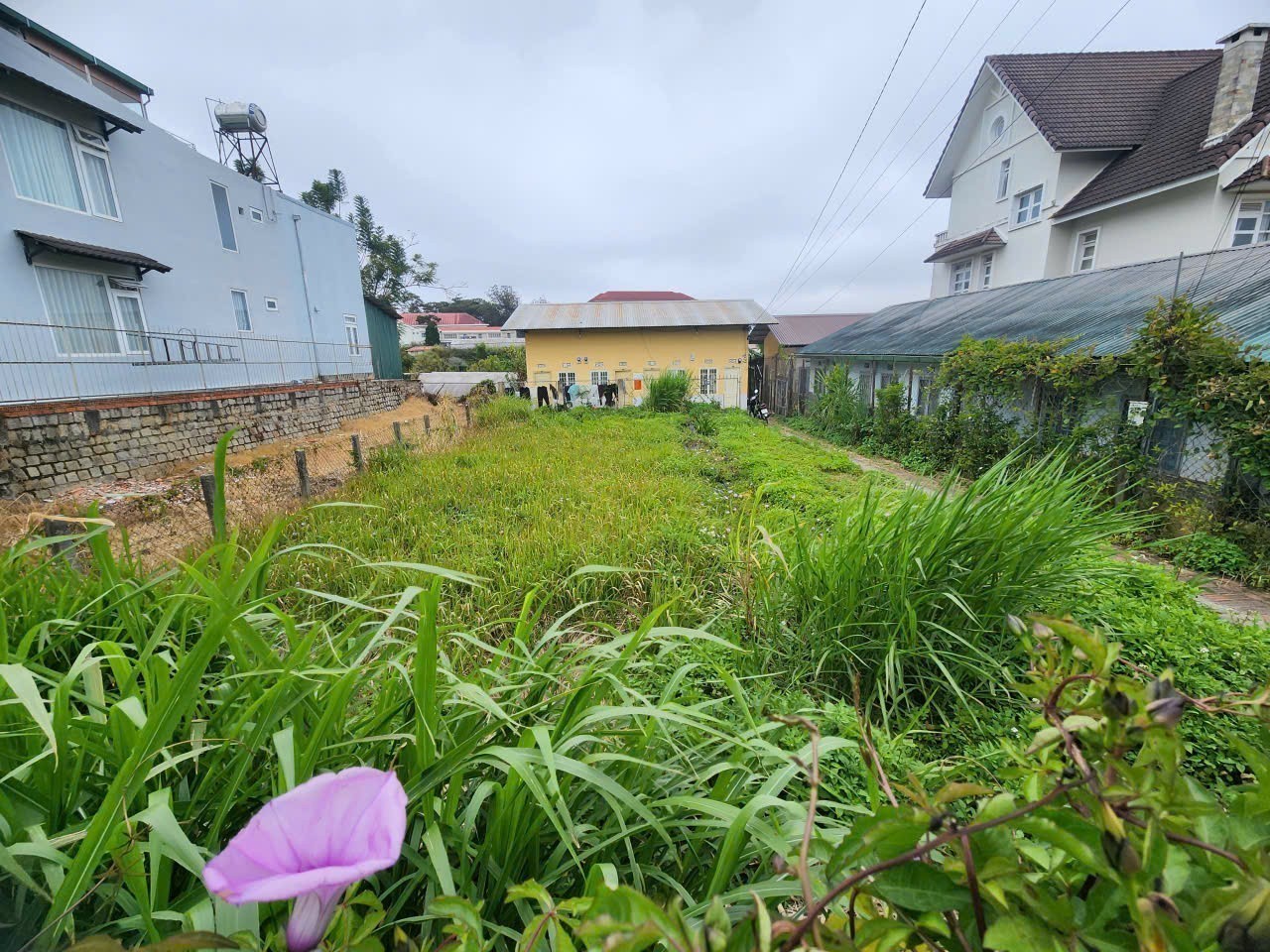 CẦN BÁN ĐẤT KHU ĐỒI TRÀ 312M2. ĐẤT BIÊT THƯ. TRẦN NHÂN TÔNG. P 8 . - ĐÀ LAT 3