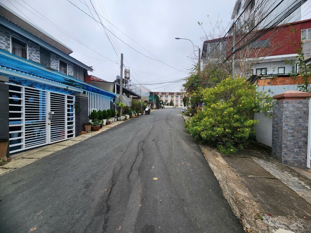 CẦN BÁN ĐẤT KHU ĐỒI TRÀ 312M2. ĐẤT BIÊT THƯ. TRẦN NHÂN TÔNG. P 8 . - ĐÀ LAT 4