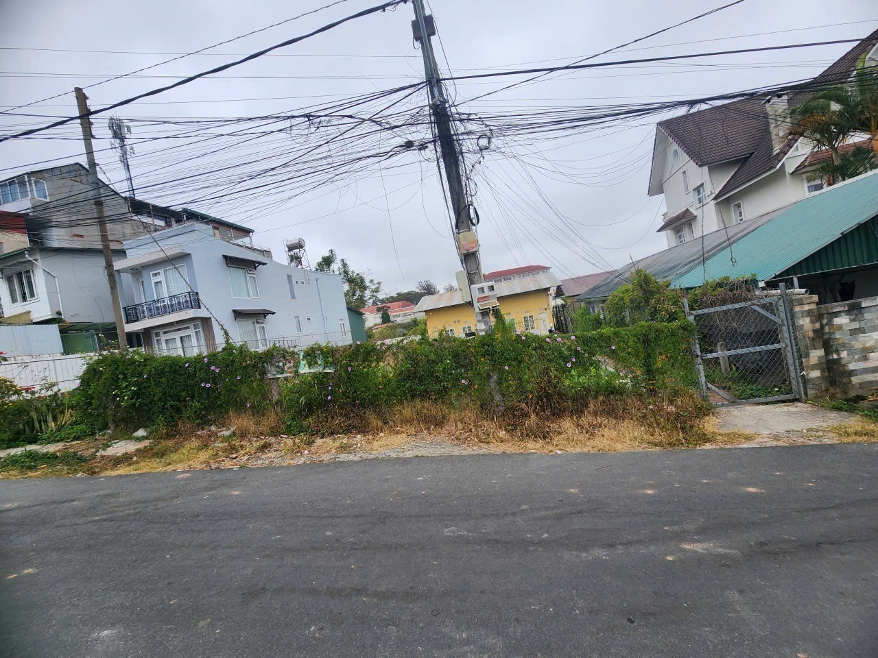 CẦN BÁN ĐẤT KHU ĐỒI TRÀ 312M2. ĐẤT BIÊT THƯ. TRẦN NHÂN TÔNG. P 8 . - ĐÀ LAT 5