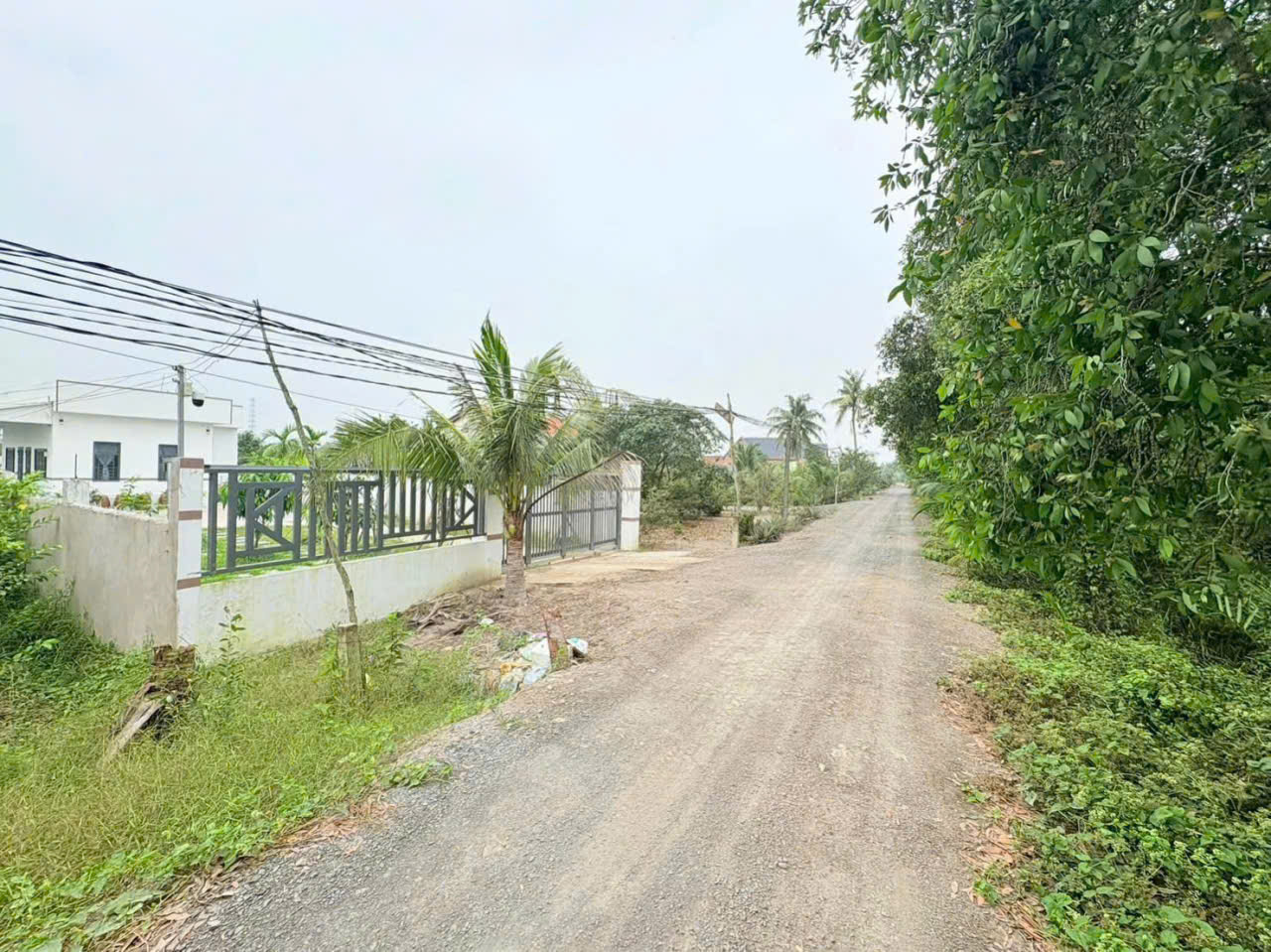 Bán đất thổ vườn đường đá xanh 6m tại Bình Đức, Bến Lức tdt 2000m2 ( 756m2 thổ ) giá 1,8 tỷ 2