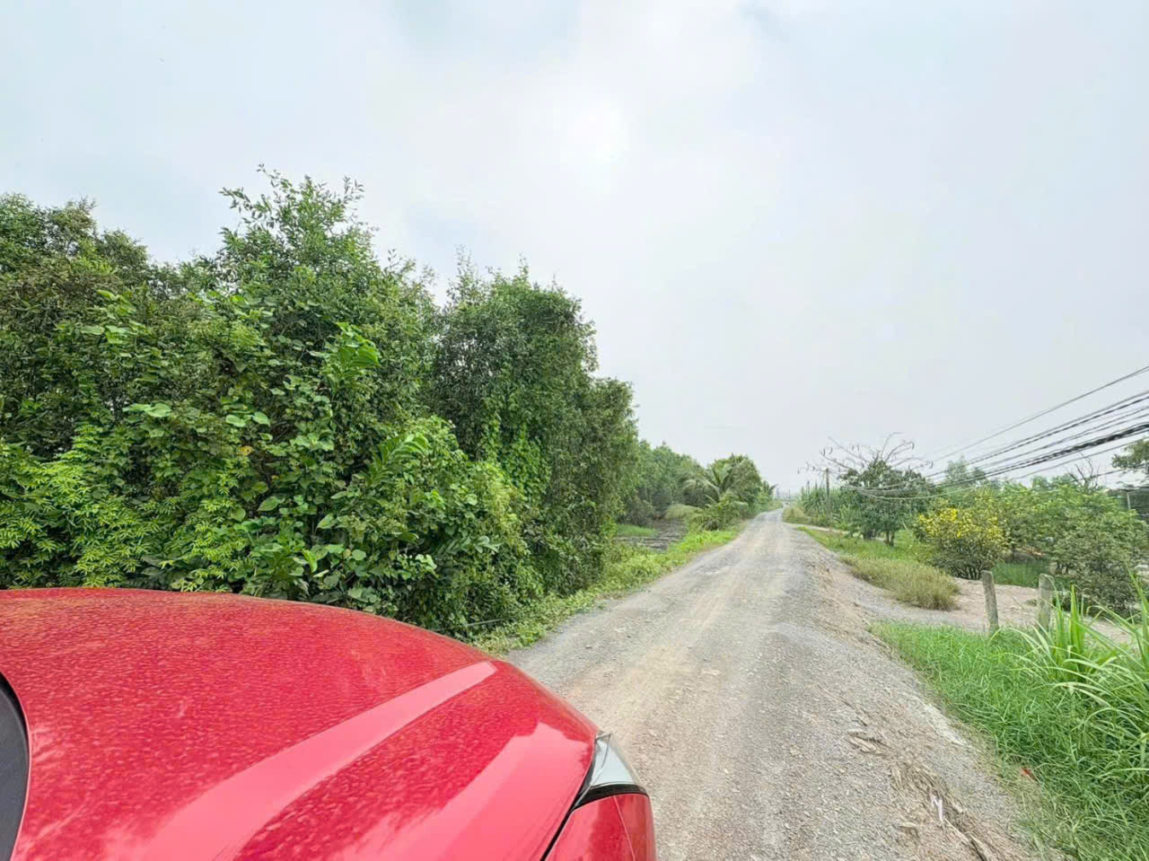 Bán đất thổ vườn đường đá xanh 6m tại Bình Đức, Bến Lức tdt 2000m2 ( 756m2 thổ ) giá 1,8 tỷ 3