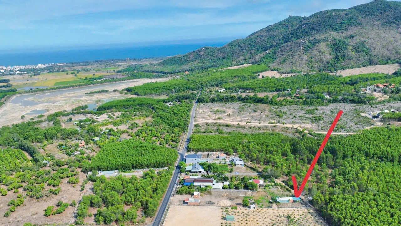 Cần bán Đất đường Tỉnh lộ 44A, Thị trấn Phước Hải, Diện tích 137m², Giá Thương lượng 5