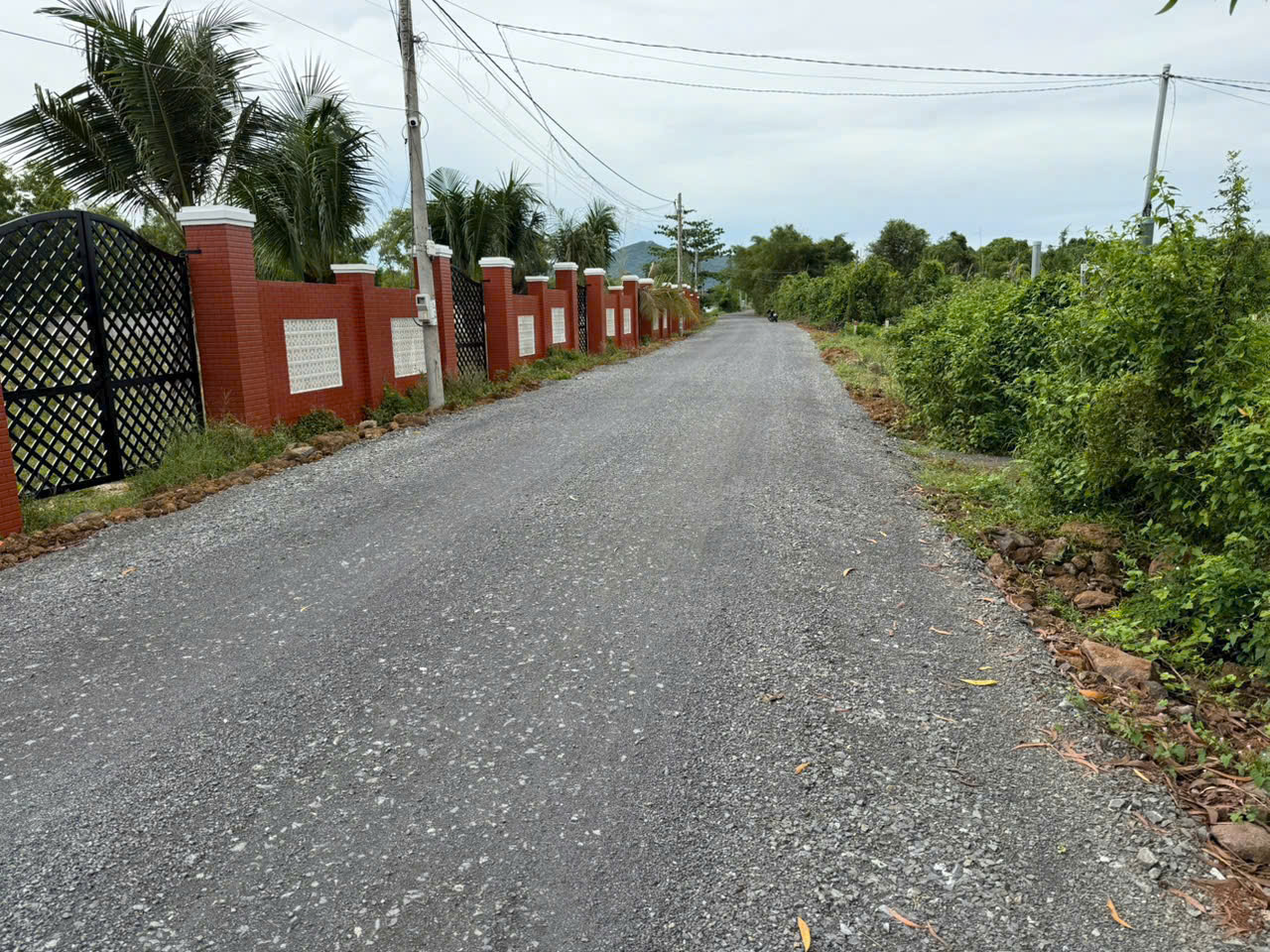 Cần bán Đất đường Tỉnh lộ 44A, Thị trấn Phước Hải, Diện tích 615m², Giá Thương lượng 4