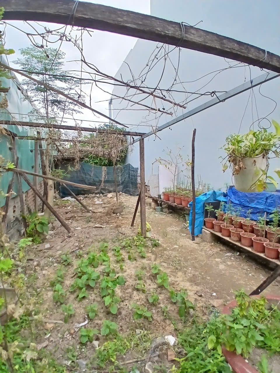 ĐẤT NHÀ CẦN BÁN HẺM PHÚ XƯƠNG, VĨNH HẢI, NHA TRANG. 3