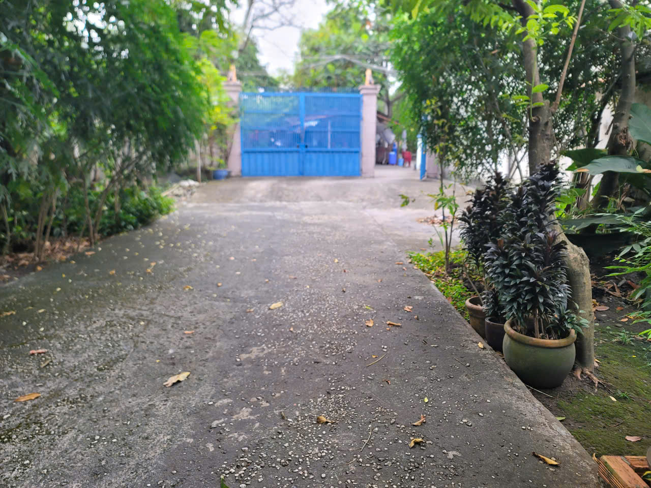 HÀNG THƠM HIẾM – BIỆT THỰ 800m² TRẦN VĂN MƯỜI – GIÁ CHỈ 10,5 TỶ 4