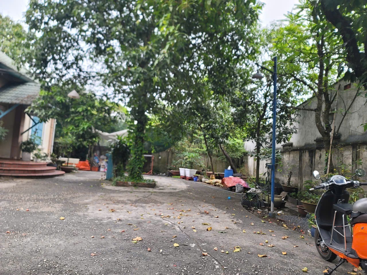 HÀNG THƠM HIẾM – BIỆT THỰ 800m² TRẦN VĂN MƯỜI – GIÁ CHỈ 10,5 TỶ 2