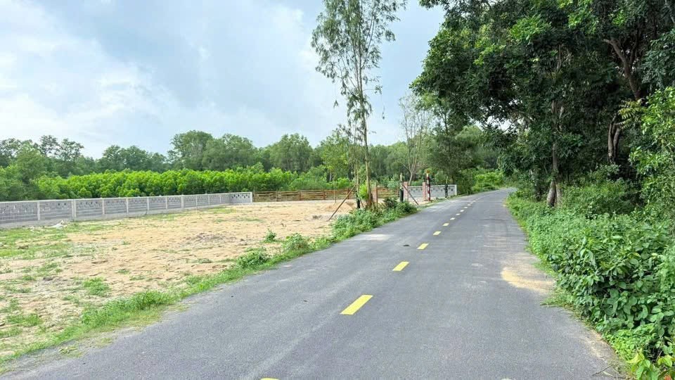 BÁN CẮT LỖ – ĐẤT VIEW NÚI MINH ĐẠM – GẦN HỒ SỞ BÔNG 2