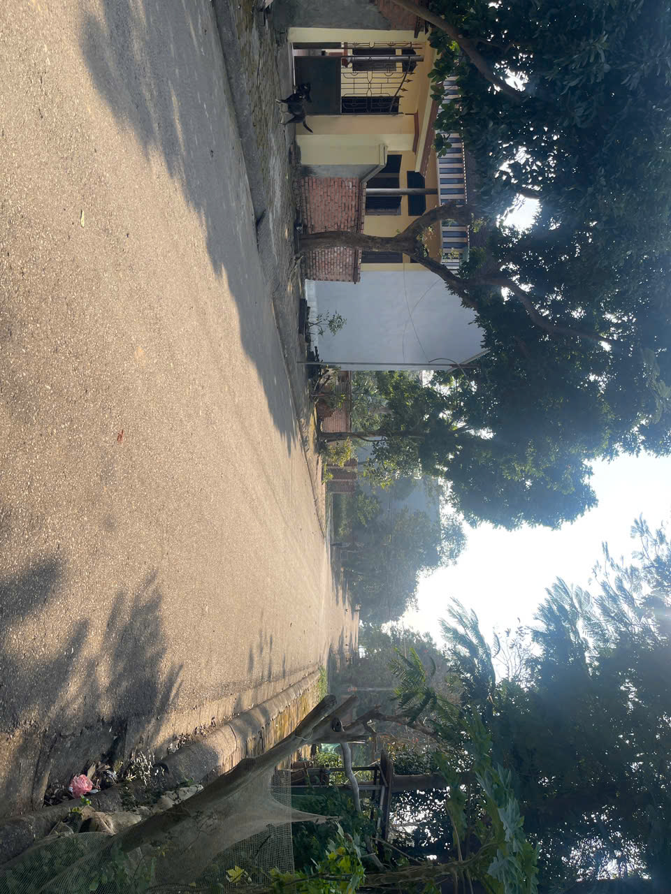 Bán đất Hoà Lạc, TĐC Hoà Lạc, đối diện hv Tài Chính, đh FPT, ĐHQG, cách metro 500m, kd sầm uất . 3