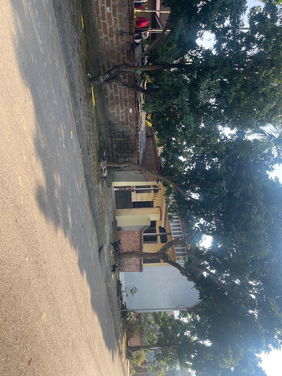 Cần bán Đất Xã Tân Xã, Thạch Thất, Diện tích 128m², Giá Thương lượng 2