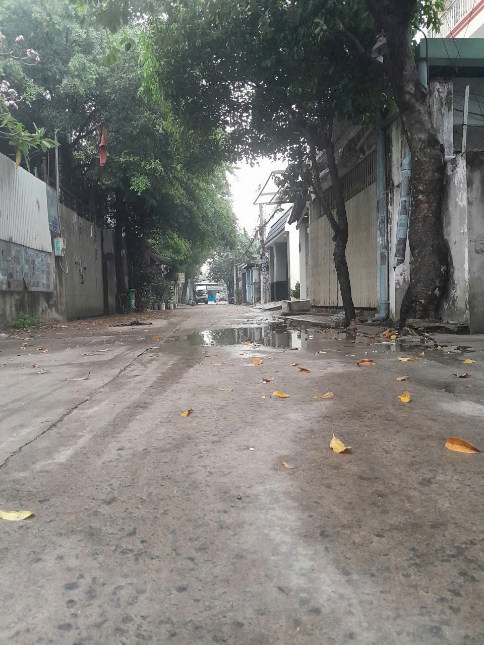 BÁN ĐẤT 2 LÔ ĐẤT F0 – TẶNG DÃY TRỌ – MẶT TIỀN ĐƯỜNG 7M THÔNG TUÂN XUÂN 9 3