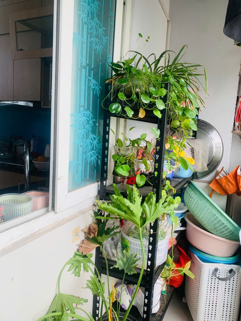 Bán căn hộ chung cư View Hồ tại Thanh Hà-Hà Đông giá tốt 3