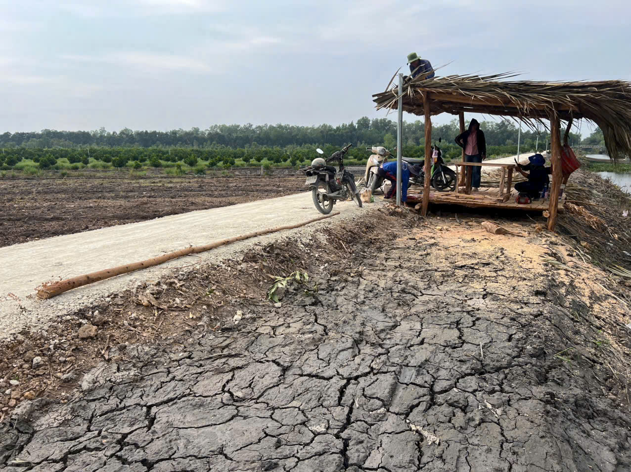 Bán 5 lô đất vườn view kênh khu vực được chuyển thổ xã Thạnh Hòa dt 1000m2giá 750 triệu 3