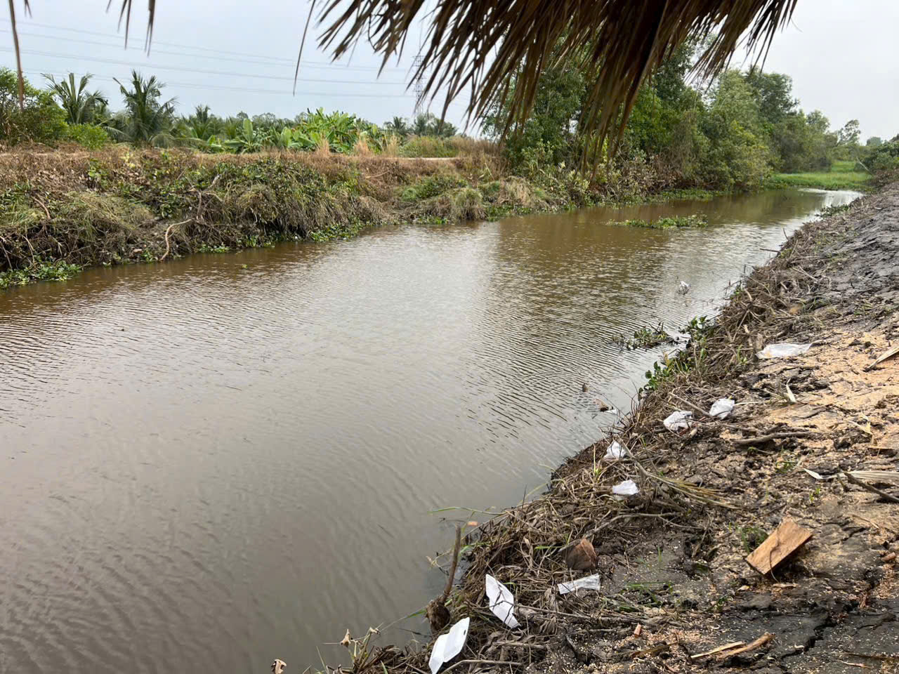 Bán 5 lô đất vườn view kênh khu vực được chuyển thổ xã Thạnh Hòa dt 1000m2giá 750 triệu 5