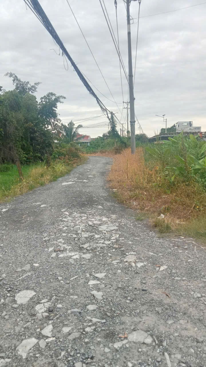 Bán đất thổ + vườn đường xe hơi đá xanh xã Thạnh Lợi tdt 2230,9m2 ( 410m2 thổ cư ) giá 3,5 tỷ 6